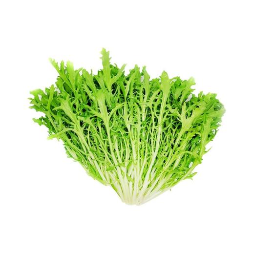 苦苣（精包）（450±30g)  苦菊 商品图1