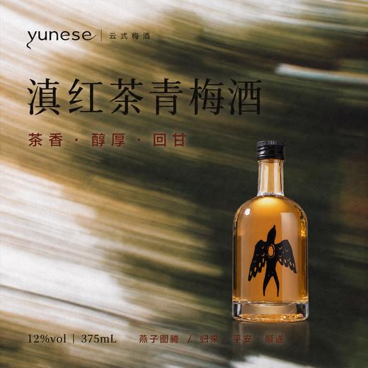 【醇和温润 甘醇清冽】yunese梅酒 赴一场云南山野之约 一口解锁松弛微醺 商品图2