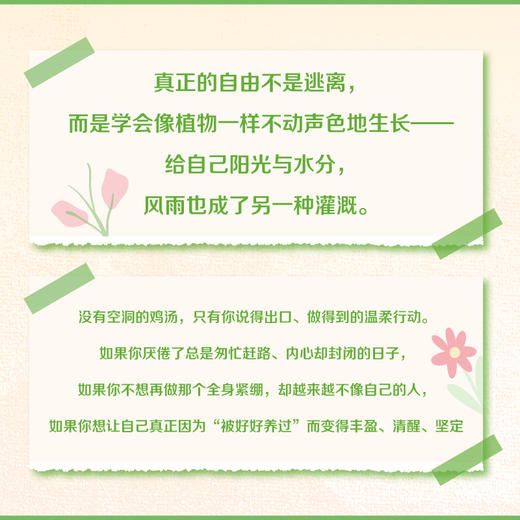长大后 我把自己重养一遍 韦娜著 我本位好好爱自己中年觉醒停止内耗爱你老己二次成长 商品图2