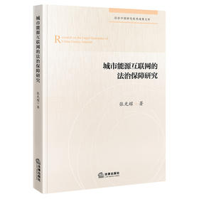城市能源互联网的法治保障研究   张光耀 著   法律出版社