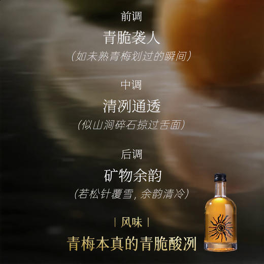 【醇和温润 甘醇清冽】yunese梅酒 赴一场云南山野之约 一口解锁松弛微醺 商品图9