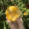 山东丑桃 商品缩略图1