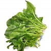 菠菜（精包）（450±30g) 商品缩略图0