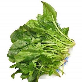 菠菜（精包）（450±30g)