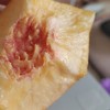 山东丑桃 商品缩略图2