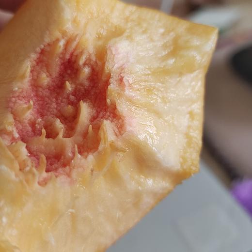 山东丑桃 商品图2
