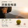 【醇和温润 甘醇清冽】yunese梅酒 赴一场云南山野之约 一口解锁松弛微醺 商品缩略图8