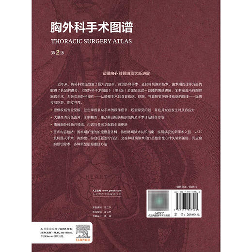胸外科手术图谱，第2版 商品图2