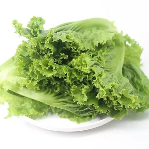 生菜（精包）（450±30g) 商品图1