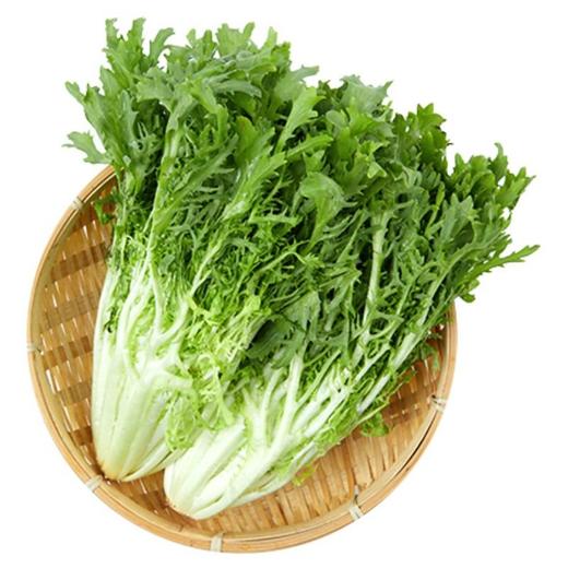 苦苣（精包）（450±30g)  苦菊 商品图0
