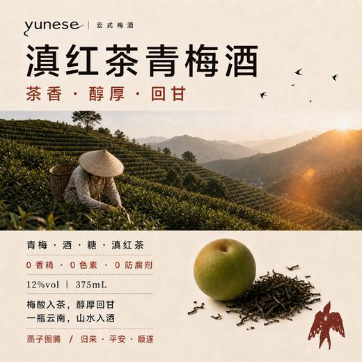 【醇和温润 甘醇清冽】yunese梅酒 赴一场云南山野之约 一口解锁松弛微醺 商品图1