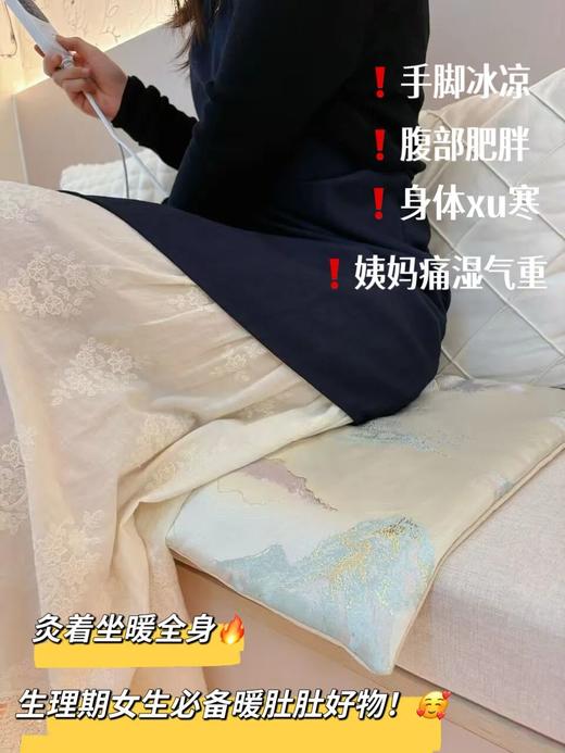 兰序云山灸·栖云垫 | 艾灸+加热，每天坐20分钟，全身都感觉暖暖的 商品图4