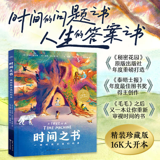 【5岁+】时间之书：一棵树教会我们的事精装大开本  人生哲思心理疗愈图画书 商品图0