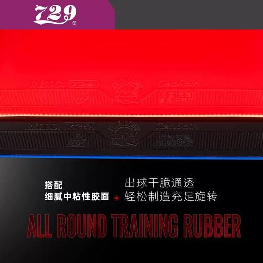 友谊729GS普及训练套乒乓球胶皮粘性初学训练用正反手乒乓套胶 商品图2