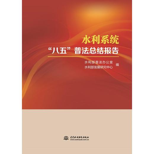 水利系统"八五"普法总结报告 商品图0