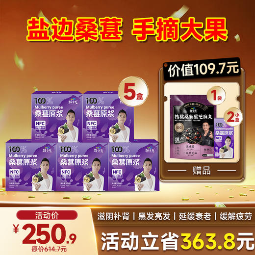 限时福利-爆款-桑葚原浆 20袋/盒 商品图2