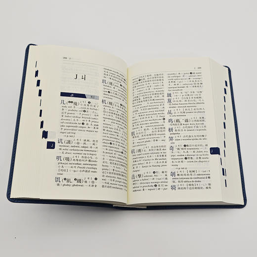 新华字典（汉语波兰语双语版） 商品图4