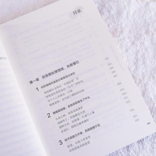 情绪洞见：左手事业，右手生活 薛冬霞著女性励志书籍 情绪管理个人成长停止内耗敏感 商品图1
