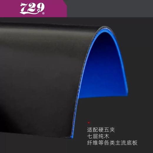 友谊729GS普及训练套乒乓球胶皮粘性初学训练用正反手乒乓套胶 商品图3