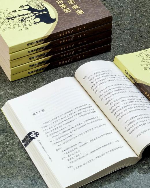 绝版！！《绣满羊角图案的地方：阿勒泰记忆》，平装，小16开，李娟著，新疆人民出版社2012年一版，280页，定价38，售价35元。品相95成。 商品图12