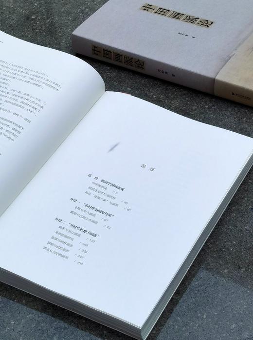 【特惠3.3折】《中国画派论》，大16开，平装，周积寅著，浙江大学出版社2021年一版二印，390页，定价168，售价56元。 商品图2