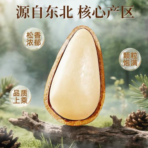坚果中的‘爱ma仕’，好吃也健康！【2026年新货 东北手剥松子】150G一罐，配料表简单，松香浓郁，颗粒饱满，健康有营养！ 商品图3