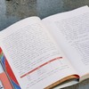 【新书】《我与敦煌：张大千的敦煌绘画艺术》，16开平装，田洪编著，张大千、徐悲鸿、陈从周、张心智等著，荣宝斋出版社2026年一版一印，274页，定价198，售价86元。 商品缩略图2