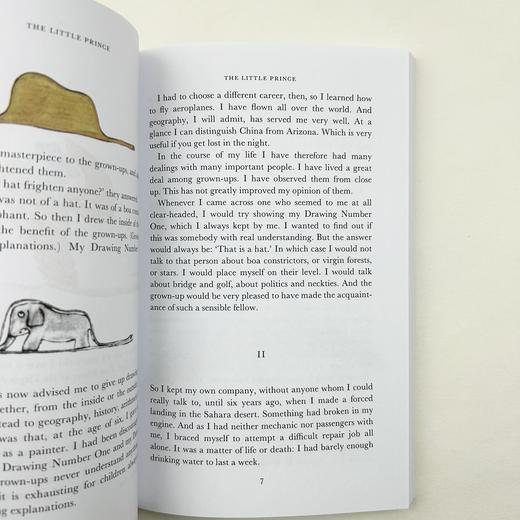 小王子 The Little Prince 插画版 少儿英语学习读物 进口英语书籍 商品图3