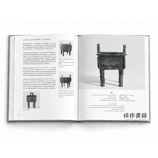 独家｜Ancient Chinese Bronzes: In The Museum Rietberg / 雷特伯格博物馆中国青铜器藏品 商品图8