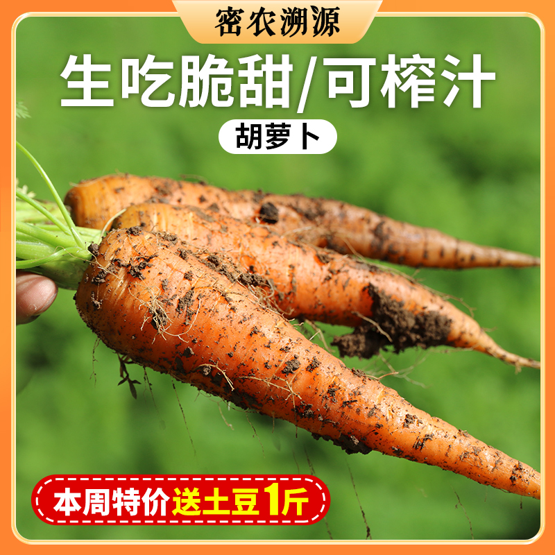 新鲜胡萝卜1斤  脆嫩不糠心  清脆甘甜  多汁爽口