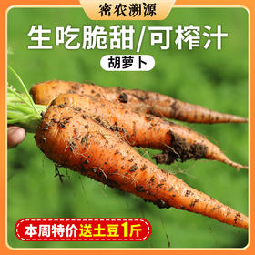 新鲜胡萝卜1斤  脆嫩不糠心  清脆甘甜  多汁爽口