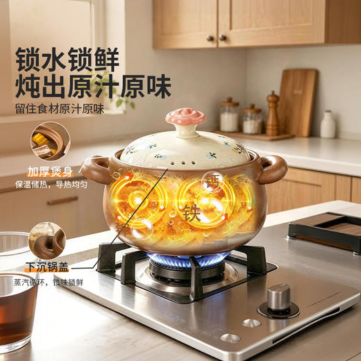 摩登主妇砂锅煲家用燃气灶专用沙锅耐高温干烧不裂炖锅煲汤陶瓷锅 商品图2