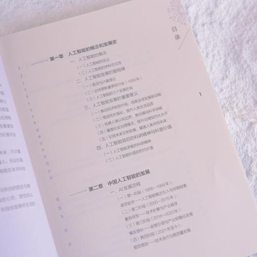 你好AI 从实验室到产业中国AI的实战之路 人工智能科普深度学习AI智能体神经网络大模型 商品图1
