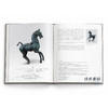 独家｜Ancient Chinese Bronzes: In The Museum Rietberg / 雷特伯格博物馆中国青铜器藏品 商品缩略图9