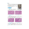 病理学实验 马丽莉 普通高等教育应用型本科医药类实验教材 供预防医学 医学实验技术 护理学 及相关专业用 中国医药科技出版社 商品缩略图4