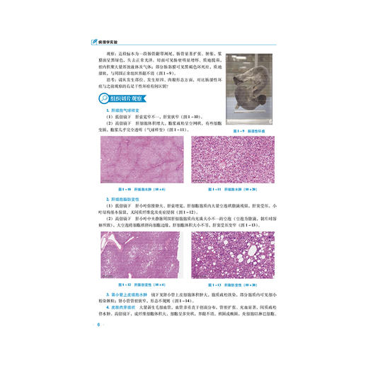 病理学实验 马丽莉 普通高等教育应用型本科医药类实验教材 供预防医学 医学实验技术 护理学 及相关专业用 中国医药科技出版社 商品图4