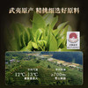 【品鉴茶2泡】华祥苑-星时光大圆罐升级版特级水仙、肉桂 各1泡 商品缩略图2