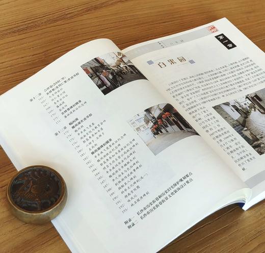 【绝版】中国长沙《历史街巷寻踪》，16开，平装，陈先枢撰稿，云南民族出版社2006年一版一印，定价42，自取价15元，包邮价19元。 商品图5