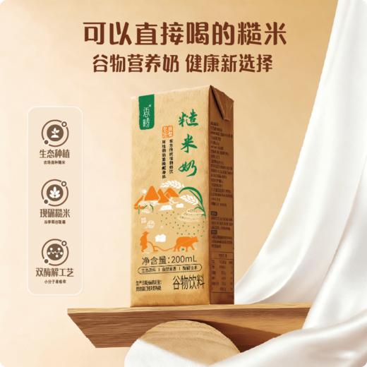 【限量买赠】糙米奶/核桃糙米奶 | 6盒/箱 商品图1