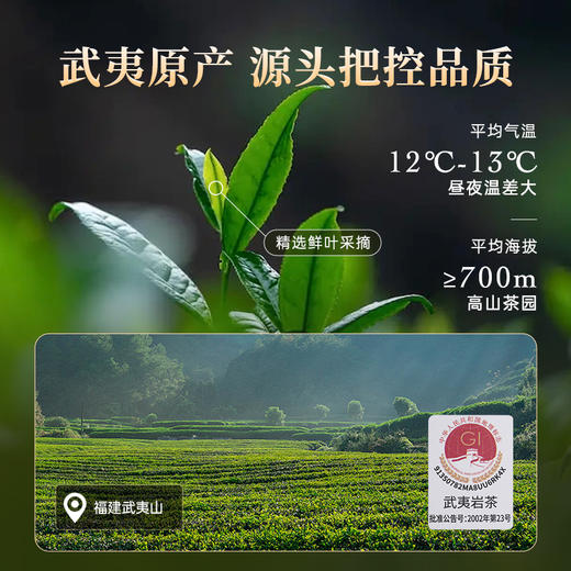 【品鉴茶2泡】华祥苑-星时光大圆罐升级版特级水仙、肉桂 各1泡 商品图6