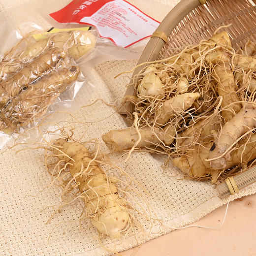 湖南隆回鲜玉竹当季现挖100克*7包 商品图0