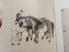 【全网最低】《赵孟頫书画全集》，8开巨册，全10册，故宫博物院编，故宫出版社、安徽美术出版社出版，定价9800，售价4500元。 商品缩略图9