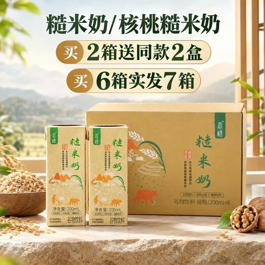 【限量买赠】糙米奶/核桃糙米奶 | 6盒/箱 商品图0