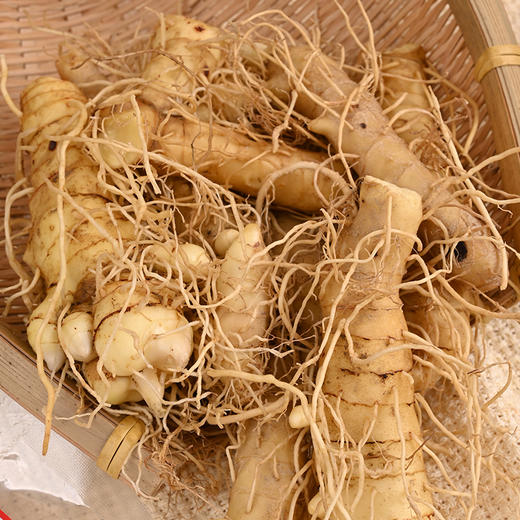 湖南隆回鲜玉竹当季现挖100克*7包 商品图1