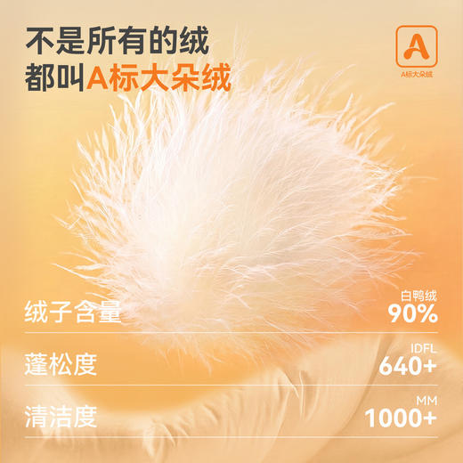 【80-130】【防泼水】嘟嘟家宝宝羽绒裤冬季保暖男童裤子鸭绒儿童防寒裤冬装T6DYR041★ 商品图2
