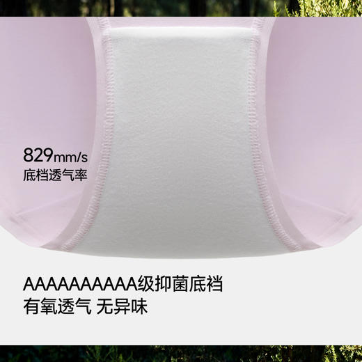 【26新品】蕉下女士肤感棉质内裤（3条装）CT029 商品图2