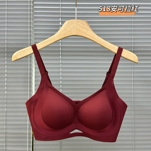 【猫人女士双C提拉聚拢支撑文胸内衣 商品图5