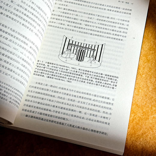 婴儿知道什么 心理学解读人类与生俱来的核心知识系统 商品图10