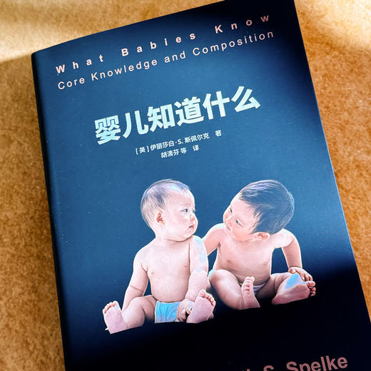 婴儿知道什么 心理学解读人类与生俱来的核心知识系统 商品图6