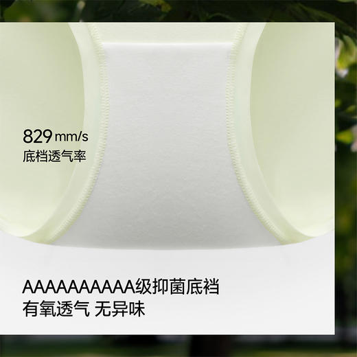 【蕉下精选】蕉下女士裸感莫代尔内裤（3条装）SF05426 商品图4